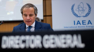 Chefe da AIEA preocupado com combates entre R&uacute;ssia e Ucr&acirc;nia perto da central nuclear russa