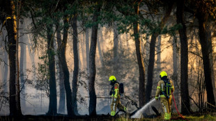 Klimawandel und El Ni&ntilde;o: Forscher warnen vor extremen Waldbr&auml;nden