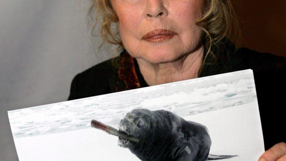 Brigitte Bardot dopo la morte di Delon, 'non ho pi&ugrave; nessuno'