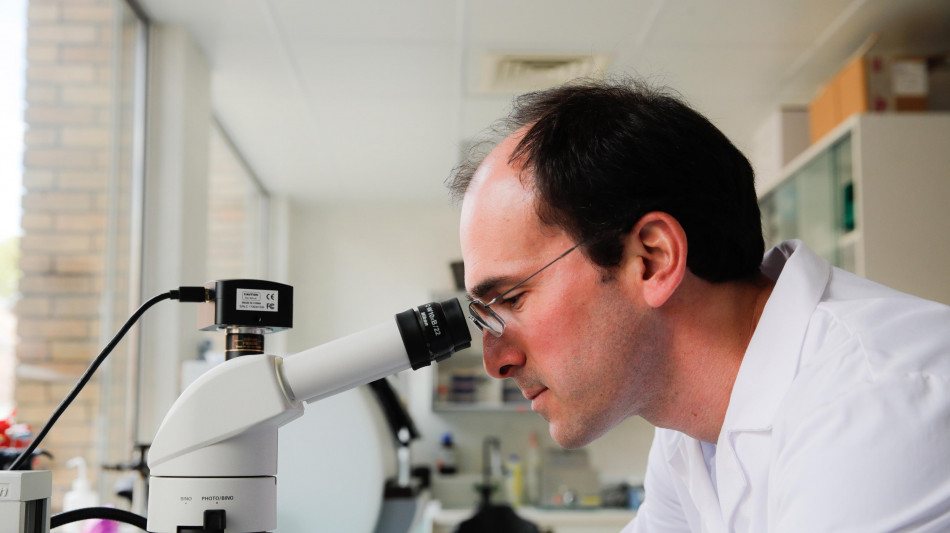 Uno studio per superare la farmaco resistenza nel tumore al seno