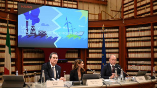 Havas, '6 italiani su 10 temono aumenti in bolletta'