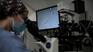 La question de la PMA post-mortem de nouveau devant la justice