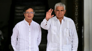 Colombia y Panam&aacute; acuerdan avanzar hacia una interconexi&oacute;n el&eacute;ctrica