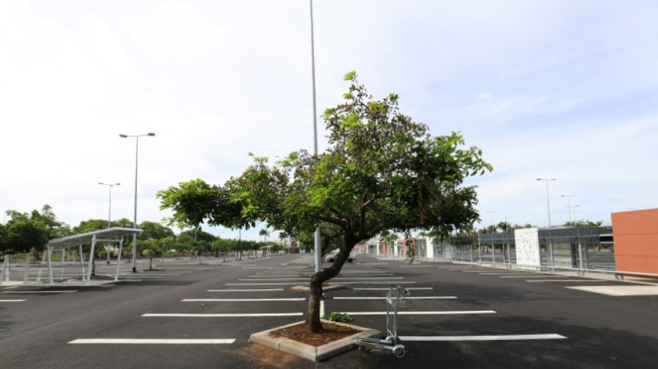 Le gouvernement s'attaque &agrave; la transformation des zones commerciales, r&eacute;servoir de foncier