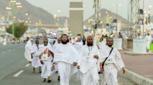Muslim pilgrims pray at Mount Arafat in hajj apex