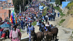 Bolivie: des centaines de partisans d'Evo Morales manifestent &agrave; La Paz