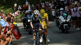 Cyclisme: avant leur reprise, les d&eacute;buts de saison de Pogacar et Vingegaard &agrave; la loupe