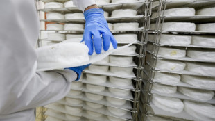 Fromages au lait cru, les bact&eacute;ries &agrave; l'oeuvre