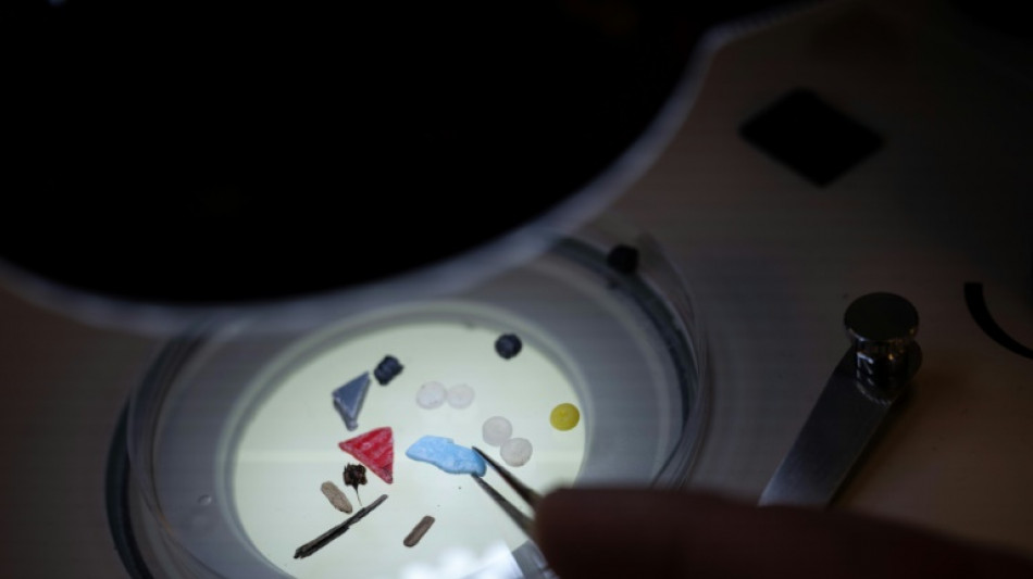 Studie: Mikroplastik-Verschmutzung europäischer Flüsse wie Elbe und Rhein "alarmierend"