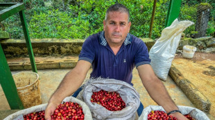 Caf&eacute; especial, una estrategia para reactivar el deprimido sector en Cuba