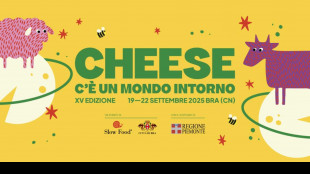 'C'&egrave; un mondo intorno' al formaggio a Cheese 2025
