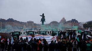 Deuxi&egrave;me jour de mobilisation agricole contre des importations jug&eacute;es "d&eacute;loyales"