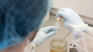 Austria trials DNA testing to uncover honey fraud