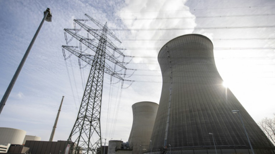 Canciller alem&aacute;n considera prolongar actividad de centrales nucleares