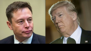 Readmitir a Trump en Twitter: el "S&iacute;" lidera la encuesta de Musk