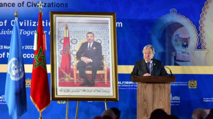 El rey de Marruecos reafirma su plan para el S&aacute;hara Occidental al jefe de la ONU
