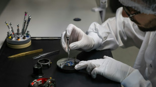 A Besan&ccedil;on, le silicium veut relancer l'horlogerie fran&ccedil;aise