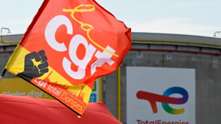 Carburants: la gr&egrave;ve s'essouffle chez TotalEnergies avant les vacances