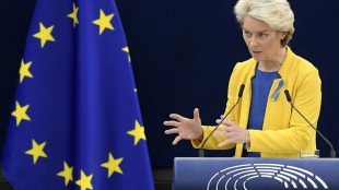 Comisi&oacute;n Europea se propone una reforma completa del mercado de electricidad