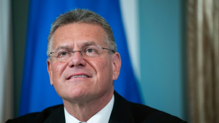 EU trade chief seeks 'positive traction' on US steel tariffs