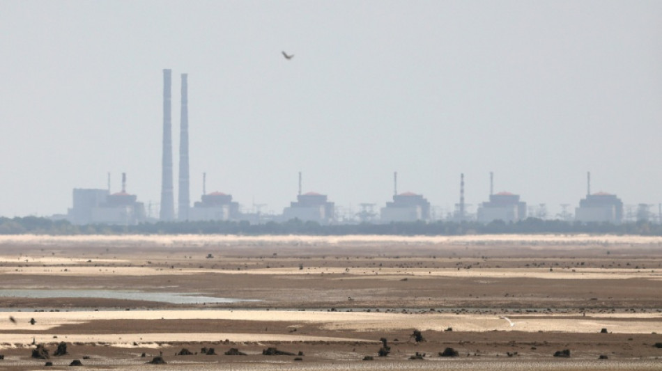 Russia says situation at Zaporizhzhia nuclear plant under control