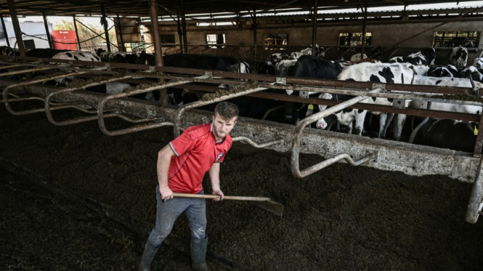 La inflaci&oacute;n de la eurozona da un respiro despu&eacute;s de 17 meses, pero sigue elevada