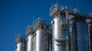 Studie: Akzeptanz für internationale CO2-Abgabe für Klimaschutz größer als vermutet