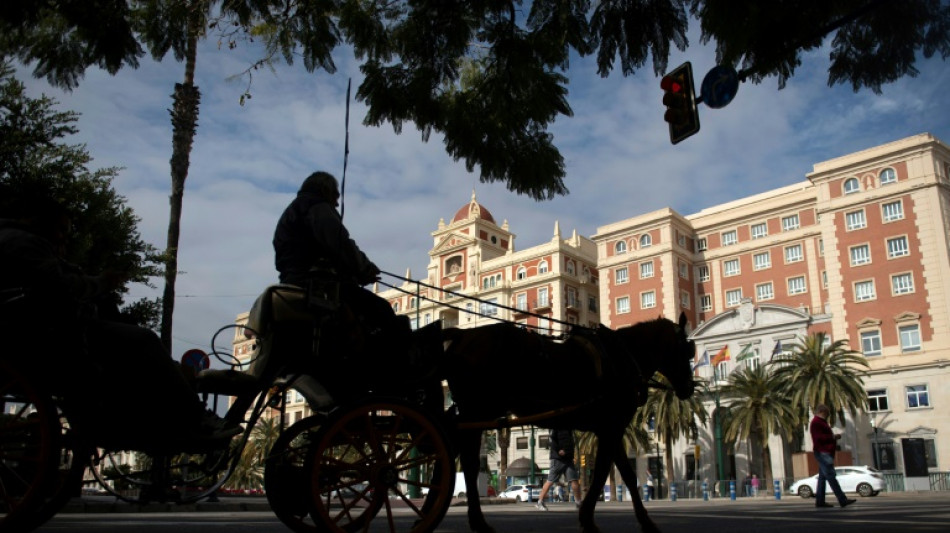 Espagne: la ville de M&aacute;laga veut mettre fin aux balades en cal&egrave;ches