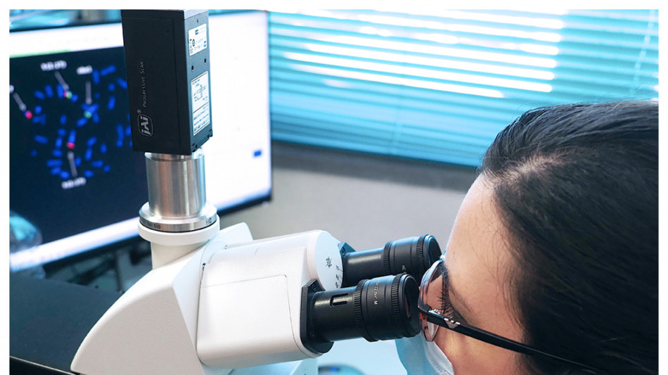 Le cellule più veloci a dividersi sono più vulnerabili ai tumori