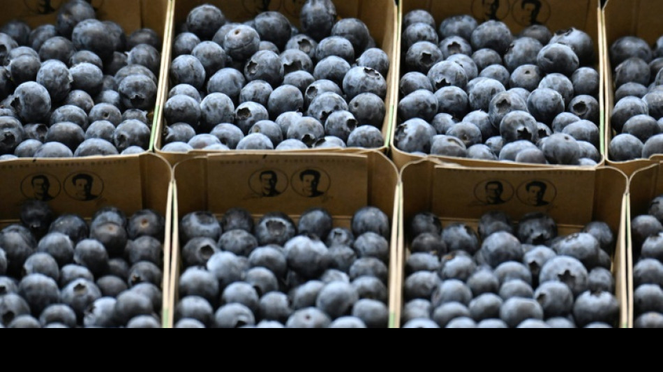 Ifo: Preiserh&ouml;hungen flauen in den kommenden Monaten ab