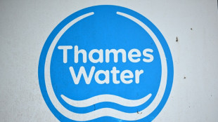 UK court backs &pound;3 bn loan for indebted Thames Water