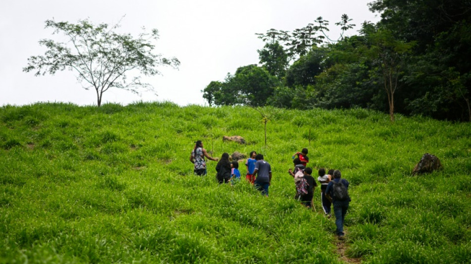 Br&eacute;sil: retour aux sources pour une communaut&eacute; guarani