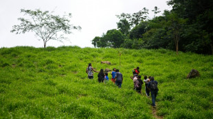 Br&eacute;sil: retour aux sources pour une communaut&eacute; guarani