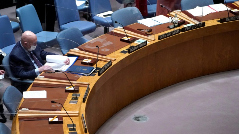 Indignaci&oacute;n occidental en el Consejo de Seguridad de ONU por la "instrumentalizaci&oacute;n" rusa