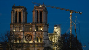 Notre-Dame de Par&iacute;s revela su cors&eacute; de hierro