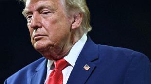 Republicanos y dem&oacute;cratas enfrentan numerosas inc&oacute;gnitas en las elecciones legislativas