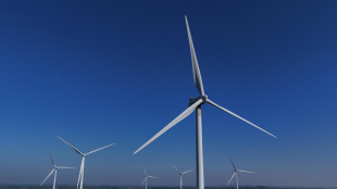 Italiani s&igrave; a energia pulita ma no al nucleare vicino casa