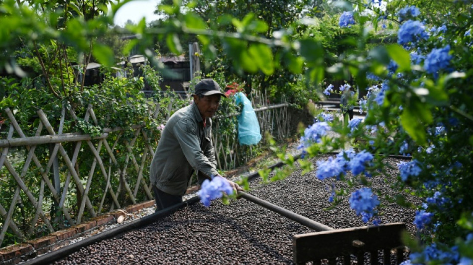 La capital china del t&eacute; incursiona en el caf&eacute; ante cambios en los gustos