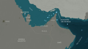 Trump pede que outros pa&iacute;ses enviem for&ccedil;as navais ao Estreito de Ormuz