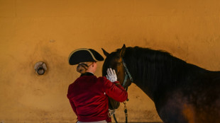 A Lisbonne, une &eacute;cole perp&eacute;tue l'art &eacute;questre portugais class&eacute; au patrimoine immat&eacute;riel
