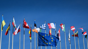 Europ&eacute;ennes: le vote a commenc&eacute; en Outre-mer, le RN en position de force