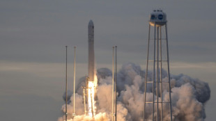 Over the Moon: Fake astronaut scams lovestruck Japanese octogenarian