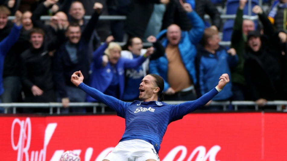 Newcastle inflict more pain on Postecoglou, Everton end Palace's unbeaten run