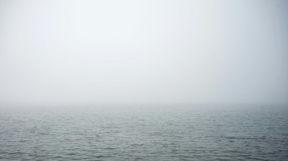 Vier junge Vogelbeobachter bei Nebel von Sandbank in Nordsee gerettet