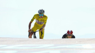 Cyclisme: 2026, la saison de tous les records ?