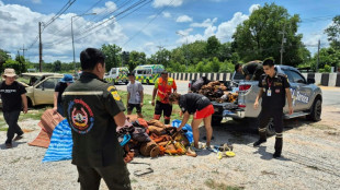 Tha&iuml;lande : huit moines bouddhistes tu&eacute;s apr&egrave;s qu'un enfant a fonc&eacute; en camion dans un cort&egrave;ge