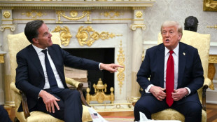 Rutte und Trump kündigen "massive" Waffenlieferungen für die Ukraine an