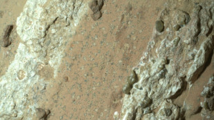 Martian rocks offer clues that might indicate ancient life