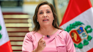 El Congreso de Per&uacute; blinda a Boluarte tras archivar una denuncia por un caso de corrupci&oacute;n