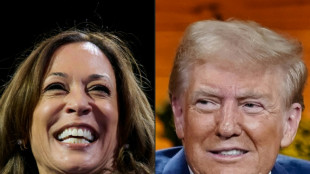 Trump e Kamala lutam no Michigan para atrair votos de trabalhadores e mu&ccedil;ulmanos